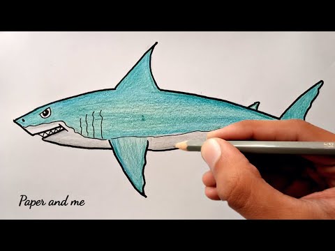 Video: Hammerfish: cách cá mập trở thành thức ăn