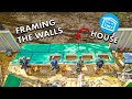 FRAMING THE WALLS ON MY TINY HOUSE! // Not So Tiny House Build Part 5