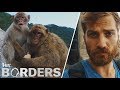 Gibraltar's Barbary Macaques and Culture