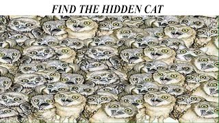 Find The Hidden Object In Picture | Hidden Object Game | AR Entertainment screenshot 5