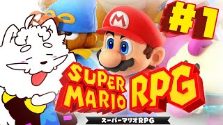 【スーパーマリオRPG】これやった方が良いですよ【VTuber】