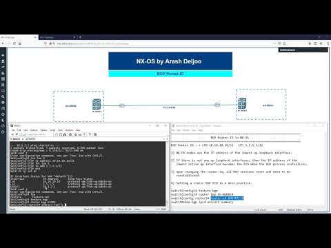 BGP Router ID in NX OS   ArashDeljoo
