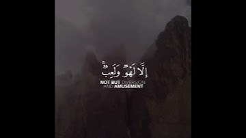 تلاوة من سورة العنكبوت القارئ رعد الكردي