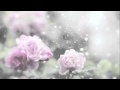 « نشيد أغمض عينيك ׀..