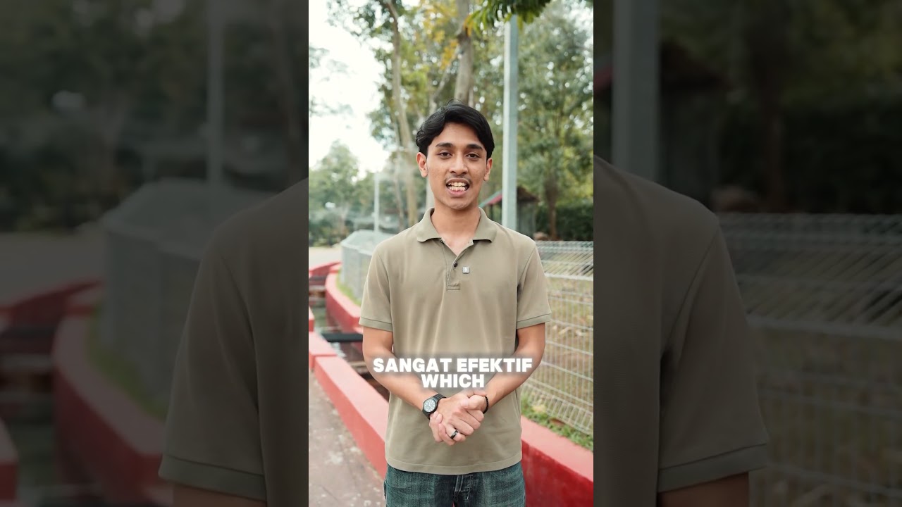 6 Feedback Power Dari Student Acap – Real Result, Real Profit!CLAIM REBATE $12/LOT forex