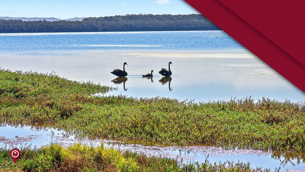 Waterfront Home For Sale Central Coast NSW Wiseberry Real Estate