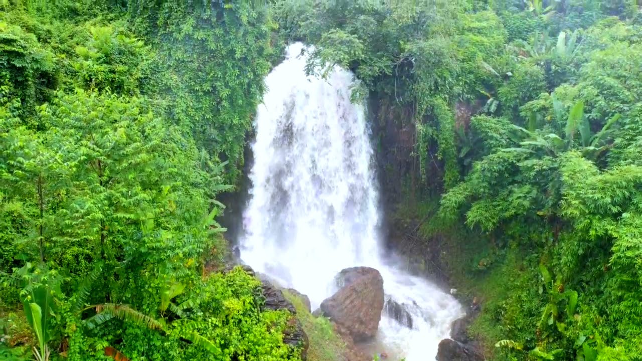 3,1 ha ôm trọn con thác trong đất, nguồn thu mạnh, cafe +sầu riêng ,đại hạ giá  0333.509.408