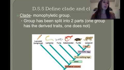 D.5.5 Cladistics