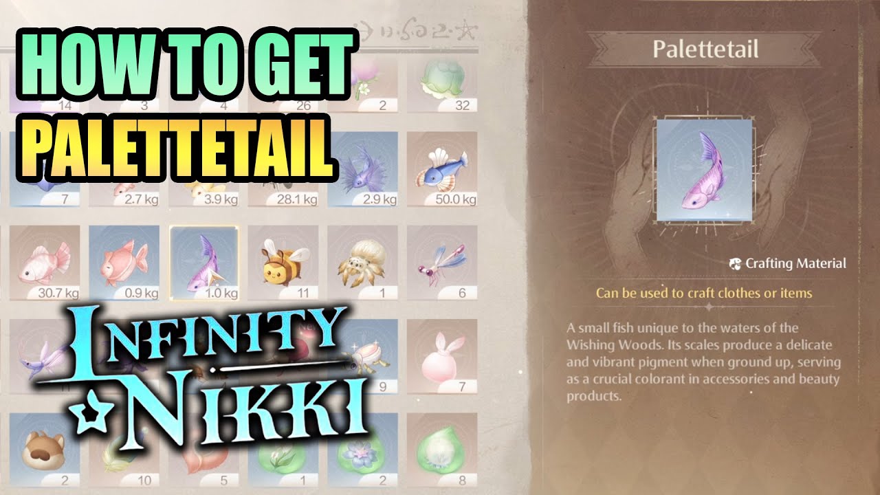 How to get Palettetail Crafting Materials INFINITY NIKKI