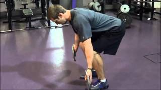 Dumbbell Reverse Flys (Pronated, Thumbs Up, Thumbs Down)
