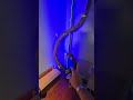 63in Bendable Artificial Tree Branch Faux Wood Vine Moss Leaves Garland Decor Reptile Climb