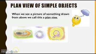 Grade 4 SS: Side views and plan views