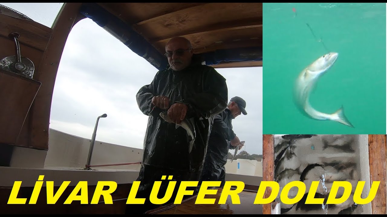 LÜFER AVI İSTANBUL CANLI YEM İLE LÜFER AVI BALIKÇI TEKNESİNDE BALIK AVI NASIL YAPILIYOR? LİVAR DOLDU