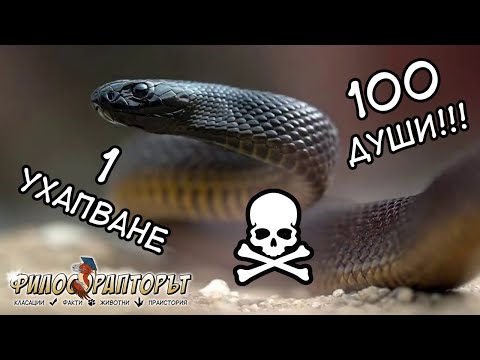 Видео: Опасни ли са змиите на тайпан?
