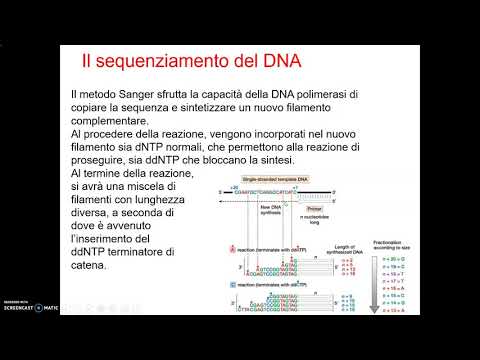 Video: La Genomica A Singola Cellula Di Nanoarchaeota Co-ordinato Suggerisce Nuove Associazioni Di Host Putativi E Diversificazione Delle Proteine coinvolte Nella Simbiosi