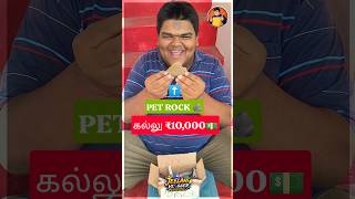 🪨 Pet Rock-க்கு ₹10,000-ஆ?! 🤯💸 | ஒரு கல்லோட விலை இவ்வளவா?