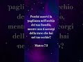 Matteo 7:3 #dio #gesù #pngdeaf #pov #perte #shorts #music #vangelo #bibbia #crescitapersonale #amore