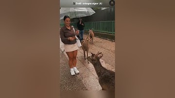 #tutorialfilter
