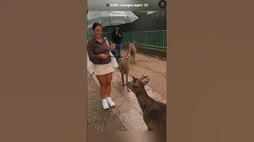 #tutorialfilter