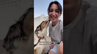 Dog 🐶challenge 💖💖💖 #dogvideos #dogchallenge  #cutepuppy #lovepuppy #eggchallenge by Cutest Puppies 3 views 1 year ago 1 minute, 4 seconds