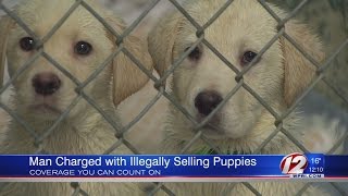 Man Charged with Illegally Selling Puppies