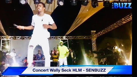 INTEGRALITE DU CONCERT DE WALLY SECK AUX HLM