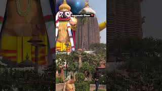 Jagannath dham #codestrumwithaniket #shortsfeed #ytshorts #yt