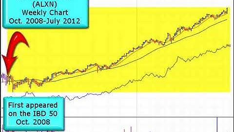 IBD 50 Charts   A Profitable Tool for Your Portfolio