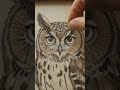 Rustic Owl Wall Art Creation From Natural Twigs #craft #woodworking #diy #art