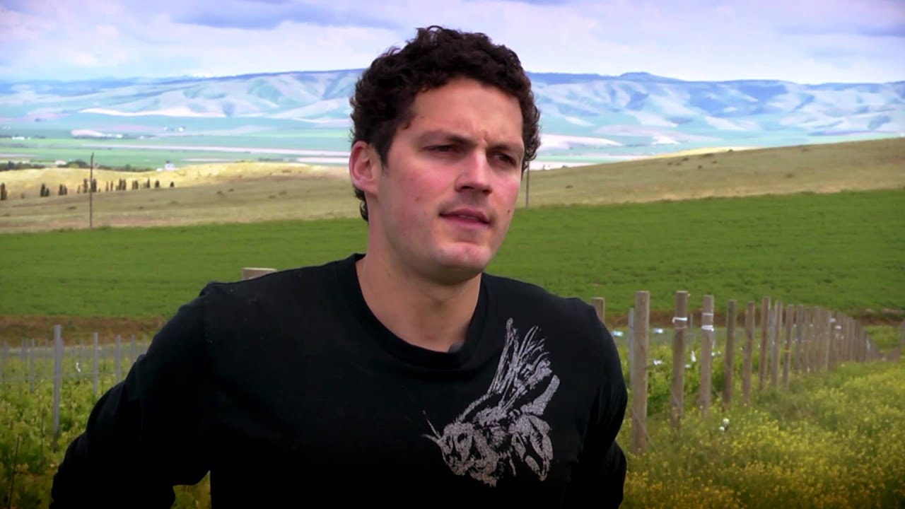 Auction of Washington Wines 2012 Picnic & Barrel Auction Invite - Short #2