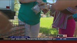 Free summer lunch program starts in Northeast Wisconsin