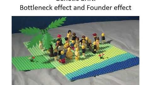 Week 7 Lecture Chapter 5: Population Genetics