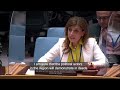 Caroline Ziadeh UNMIK on Kosovo Security Council, 9019th meeting mp4  Subtitled