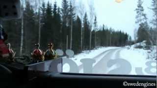 Scania 164G 480 V8 Driving On Forest Road