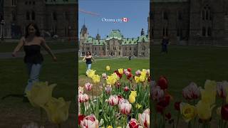 visit Ottawa capital of Canada 🇨🇦🏛✨️ #canada #shorts #walkingtour #ottawa #travelvlog #city