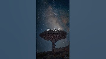 #قرآن | سورة الزمر[٦٤-٦٦] ﴿قُلْ أَفَغَيْرَ اللَّهِ تَأْمُرُونِّي أَعْبُدُ أَيُّهَا الْجَاهِلُونَ﴾