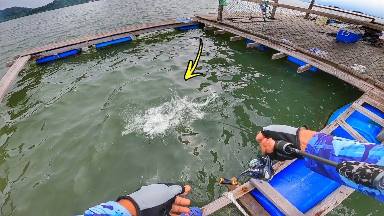 Hampir Hampir JATUH KELONG Kerana Ikan Ini!!