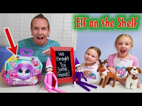 elf-on-the-shelf!-elf-pets-and-scruff-a-luvs-toy-rescue!!!