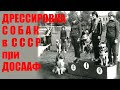 Дрессировка собак в СССР при ДОСААФ