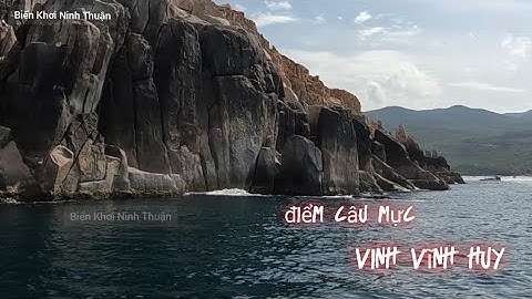 Câu Mưc Óng - Mực Thước - Mùa Gió Đông Nam - VỊNH VĨNH HUY