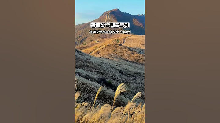 경남 합천 여행코스. 계절따라 달라지는 낭만 감성 느껴 보세요~🤗