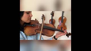 Beautiful Antique Mid 19th Century German 4/4 Violin Sound Sample