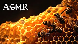 The World of Bees (ASMR Story for Sleep) screenshot 3