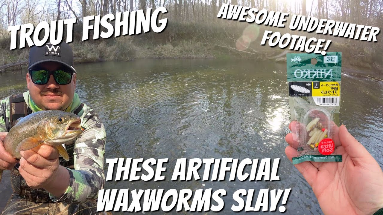 Chasing Creek Trout in Ohio with the Nikko Waxworms (Will they