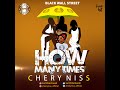 Cherry Niss – “How Many Times”