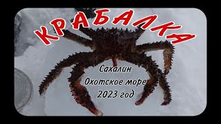 :    2023 ,  .