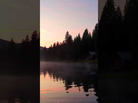 Golden Hour Serenity