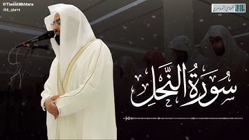 صلاة الفجر للشيخ ناصر القطامي - ما تيسر من سورة النمل  - الأربعاء 4 صفر 1444هـ