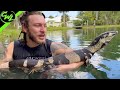 Swimming with JACK the Monitor LIZARD!