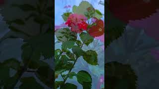 nepali title voice guras nani#youtubeshorts #shortvideo #shortsviral
